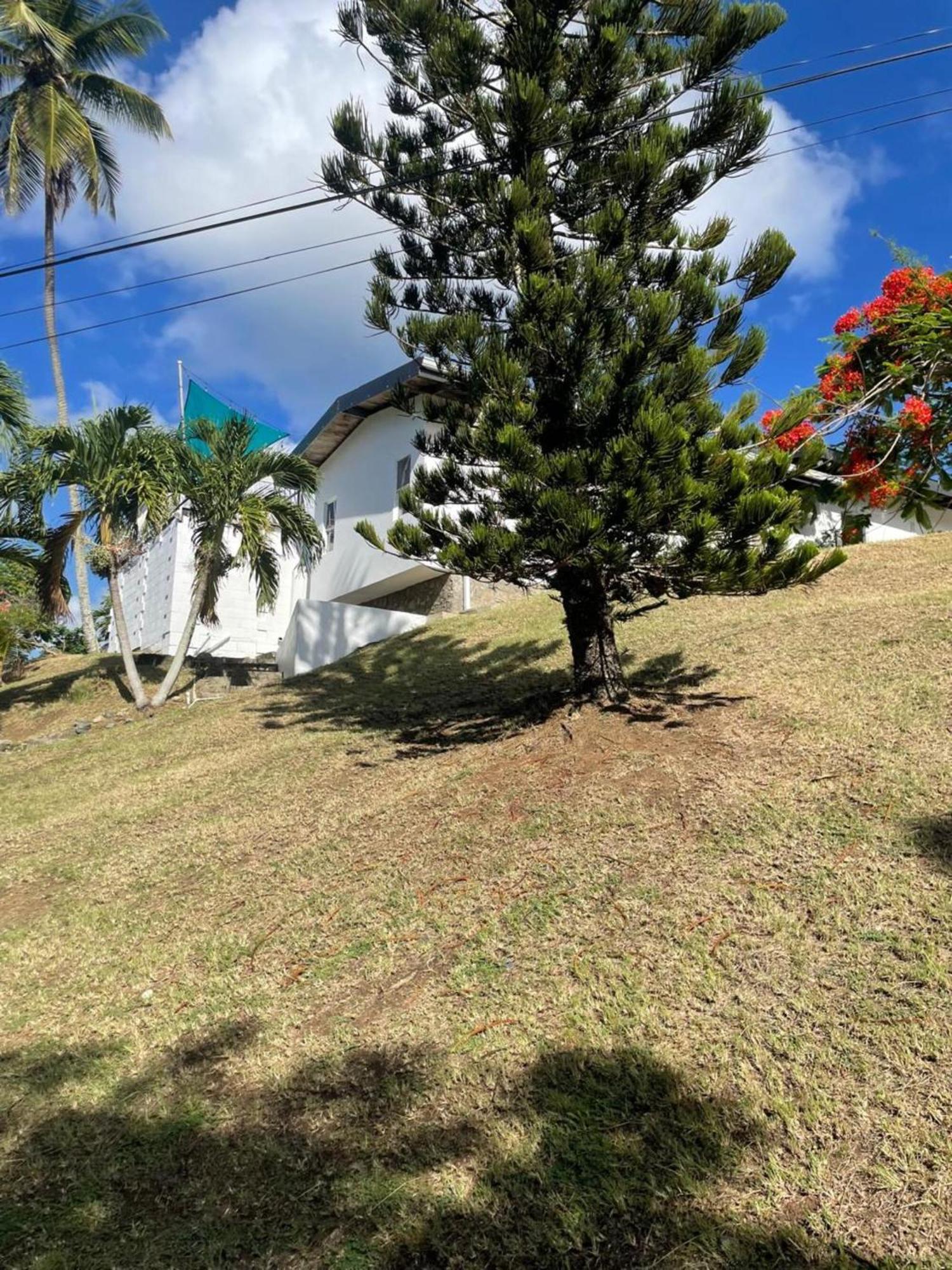 Villa Dava Tobago Exterior photo